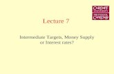 Lecture 7 Intermediate Targets, Money Supply or Interest rates?