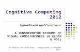 Cognitive Computing 2012 Embodiment and Enactivism A SENSORIMOTOR ACCOUNT OF VISUAL CONSCIOUSNESS (OREGAN & NOE) Professor Mark Bishop - Images from J.