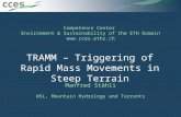 Competence Center Environment & Sustainability of the ETH Domain  TRAMM – Triggering of Rapid Mass Movements in Steep Terrain Manfred Stähli.