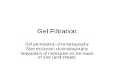 Gel Filtration Gel permeation chromatography Size exclusion chromatography Separation of molecules on the basis of size (and shape)
