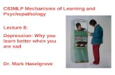 Lecture 8: Depression: Why you learn better when you are sad C83MLP Mechanisms of Learning and Psychopathology Dr. Mark Haselgrove.
