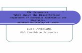 MSc Economics What about the Dissertation? Department of Economics Mathematics and Statistics Birkbeck University of London Luca Andriani PhD Candidate.