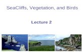 SeaCliffs, Vegetation, and Birds Lecture 2. SeaCliffs, Vegetation, and Birds Hard rock cliffs Resistant bedrock (geology) Also, Soft rock cliffs Unconsolidated.