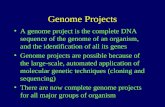 Genome Projects A genome project is the complete DNA sequence of the genome of an organism, and the identification of all its genes Genome projects are.