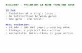 BIOL2007 - EVOLUTION AT MORE THAN ONE GENE SO FAR Evolution at a single locus No interactions between genes One gene - one trait REAL evolution: 10,000.