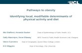 Pathways to obesity Identifying local, modifiable determinants of physical activity and diet Mai Stafford, Amanda Sacker Dept of Epidemiology & Public.