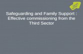Safeguarding and Family Support : Effective commissioning from the Third Sector.