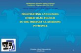 Christine Hélot, Université de Strasbourg Multilingualism, Regional & Minority Languages: Paradigms for Languages of the Wider World 16 th –17 th April.