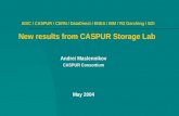 ADIC / CASPUR / CERN / DataDirect / ENEA / IBM / RZ Garching / SGI New results from CASPUR Storage Lab Andrei Maslennikov CASPUR Consortium May 2004.