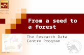 Statistics Canada Statistique Canada September 2008/1 From a seed to a forest The Research Data Centre Program.