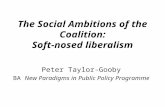 The Social Ambitions of the Coalition: Soft-nosed liberalism Peter Taylor-Gooby BA New Paradigms in Public Policy Programme.