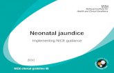 Neonatal jaundice Implementing NICE guidance 2010 NICE clinical guideline 98.
