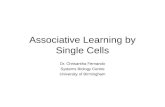 Associative Learning by Single Cells Dr. Chrisantha Fernando Systems Biology Centre University of Birmingham.