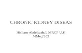 CHRONIC KIDNEY DISEAS Hisham Abdelwahab MRCP U.K MMed/SCI.