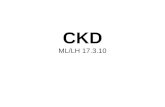 CKD ML/LH 17.3.10. Chronic Kidney Disease Are we correctly diagnosing CKD? Have we the correct patients on our CKD register? Are we managing them correctly?