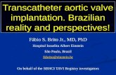 Transcatheter aortic valve implantation. Brazilian reality and perspectives! Fábio S. Brito Jr., MD, PhD Hospital Israelita Albert Einstein São Paulo,