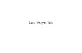 Les Voyelles. Collins - Easy Learning French Pronunciation Track 10(cd) To make the sound lips are fully spread and the blade of the tongue is raised.