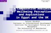 DSA 2012 Conference Nov 3 rd, 2012 A Comparative Analysis of Wellbeing Perceptions and Aspirations in Egypt and the UK Solava Ibrahim Lecturer in International.