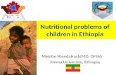 Nutritional problems of children in Ethiopia Mekitie Wondafrash(MD, DFSN) Jimma University, Ethiopia.