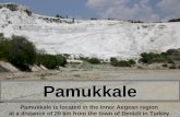Pamukkale Pamukkale is located in the Inner Aegean region at a distance of 20 km from the town of Denizli in Turkey.