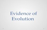Evidence of Evolution. Main Types of Evidence of Evolution Main Types of Evidence of Evolution 1. Fossils 2. Comparing Anatomical Structures 3.Similar.