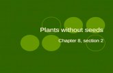 Plants without seeds Chapter 8, section 2. Key concepts What characteristics do the three groups of nonvascular plants share What characteristics do the.