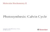 Photosynthesis: Calvin Cycle Copyright © 1999-2008 by Joyce J. Diwan. All rights reserved. Molecular Biochemistry II.