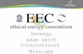 Senergy Adam Smith International Miascape. Why EEC is different – Capability & Credibility Unique combination of Deep, global energy discipline technical.