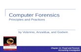 Computer Forensics Principles and Practices by Volonino, Anzaldua, and Godwin Chapter 11: Fraud and Forensic Accounting Investigation.