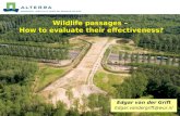 Wildlife passages – How to evaluate their effectiveness? Edgar van der Grift Edgar.vandergrift@wur.nl.
