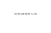 introduction to gsm.pdf