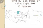 Fond du Lac Band of Lake Superior Chippewa. The Minnesota Pollution Control Agency coordinates an Americorps program, Minnesota GreenCorps, which aims.