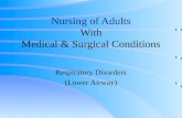 Nursing of Adults With Medical & Surgical Conditions Respiratory Disorders (Lower Airway)
