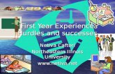 First Year Experience Hurdles and successes Netiva Caftori Northeastern Illinois University .