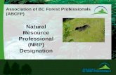 Association of BC Forest Professionals (ABCFP) Natural Resource Professional (NRP) Designation.
