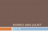 ROMEO AND JULIET Act III. Act III scenes i, ii Bell Ringer Grammar Review Act II Quiz and ORQ Skill Focus: Internal/External Conflict Reading: Act III.