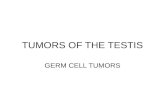 TUMORS OF THE TESTIS GERM CELL TUMORS. Epidemiology and Risk Factors Malignant tumors of the testis are rare. Of all primary testicular tumors, 90-95%