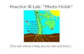 Practice IB Lab- Photo Finish (The lab where I help you for the last time.)
