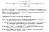 LECTURE 32 GLYCOBIOLOGY OF ANIMAL FERTILIZATION # 2 MAY 23, 2002 V.D. VACQUIER The use of plant lectins to study cell-cell interaction exploded about 1970.
