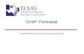 CHIP Perinatal Texas Health and Human Services Commission.