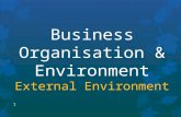 1 Business Organisation & Environment External Environment.