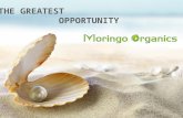 THE GREATEST OPPORTUNITY. PRESENTS Wings to fly COMPENSATION PLAN WARNING: © 2012 Moringo Organics Inc,Copy Rights Reserved,Contains Legally privileged.