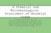 A Chemical and Microbiological Assessment of Brooklyn Creek Highland IB Group 4 Students, Class of 14: Brett Baldwin, Vanessa Borowicz, Josie Brune, Trenton.