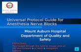 Universal Protocol Guide for Anesthesia Nerve Blocks Mount Auburn Hospital Department of Quality and Safety Instructions: > or back < navigation buttons.