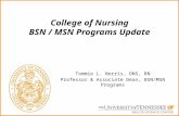 Tommie L. Norris, DNS, RN Professor & Associate Dean, BSN/MSN Programs College of Nursing BSN / MSN Programs Update.