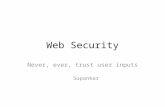 Web Security Never, ever, trust user inputs Supankar.