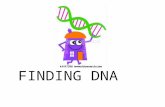 FINDING DNA. Proof of DNA as Genetic Material Was the genetic material protein or DNA? Mendel (peas) and Morgan (flies) did not know it was DNA. Worksheet.