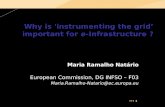 INGRID 2008 – Ischia, Italy 1 Why is 'instrumenting the grid important for e-Infrastructure ? Maria Ramalho Natário European Commission, DG INFSO – F03.