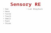 Sensory RE See Hear Taste Touch Smell Feel Think Lat Blaylock.