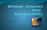 Chapter 16. Windows Internet Name Service(WINS) Network Basic Input/Output System (NetBIOS) N etBIOS over TCP/IP (NetBT) provides commands and support.